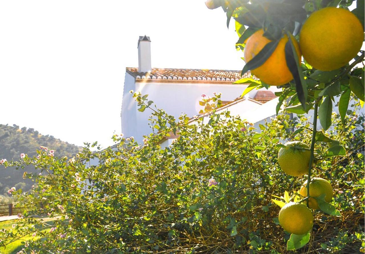 Cortijo Las Caballerias Эль-Чорро Экстерьер фото